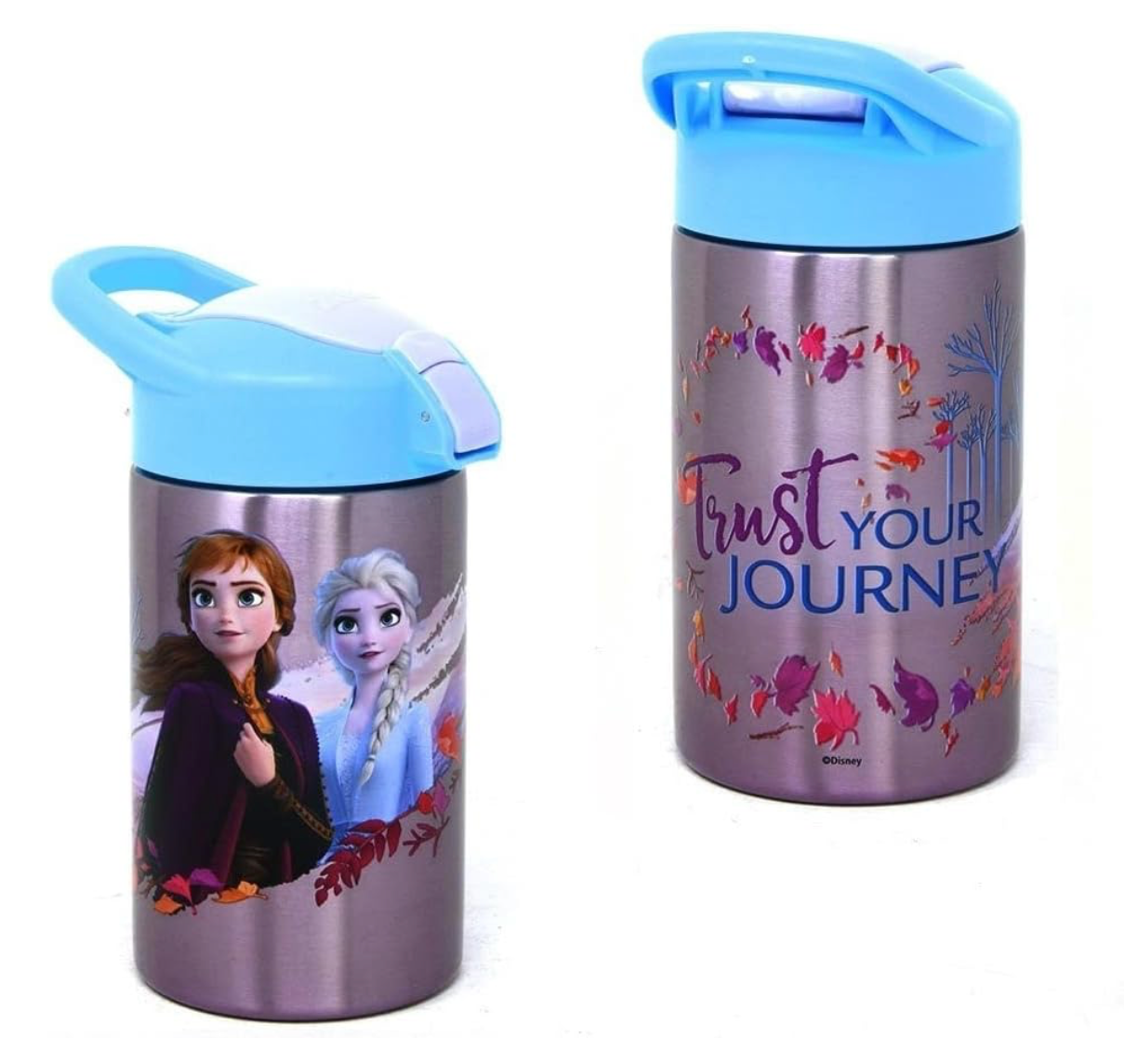 Zak Designs, Inc. Frozen 2 - Botella de agua aislada de acero inoxidable para niños, con boquilla de botón, perfecta para días escolares y viajes, 15.5 onzas
